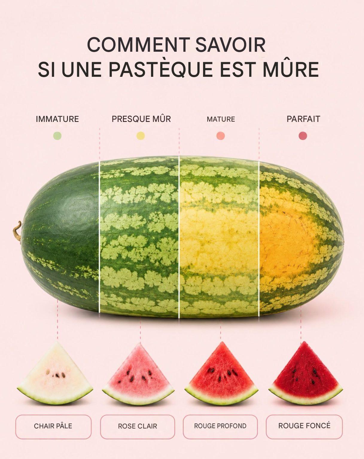 🍉 Comment savoir si une pastèque est mûre ? Gardez ceci en tête avant d’aller faire vos courses.