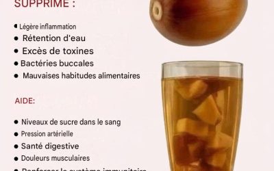 Thé aux noyaux d’avocat : une boisson naturelle qui séduit de plus en plus 🥑☕