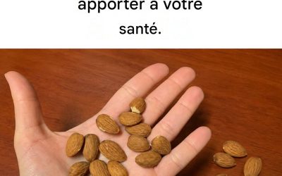 Les bienfaits de 15 amandes par jour sur notre santé
