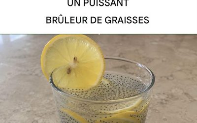 Comment préparer les graines de chia pour en faire un puissant brûleur de graisse