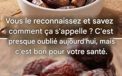 Les dattes : le superfruit le plus sain au monde, qui soigne des dizaines de maladies.