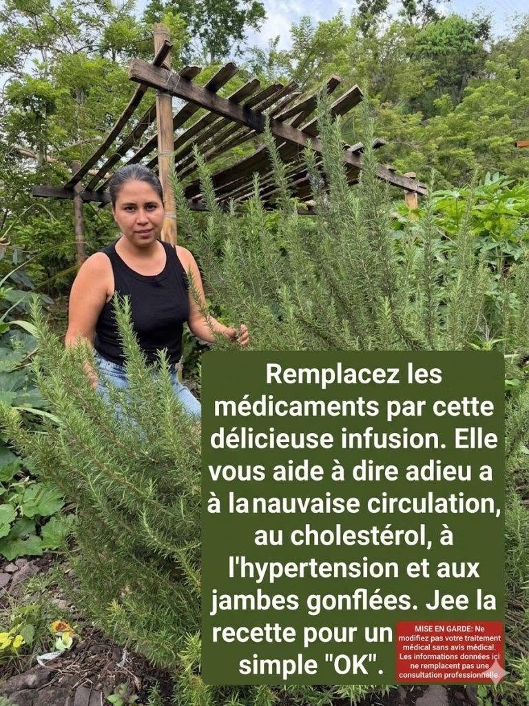 Avantages du mélange de romarin et de clou de girofle pour la santé