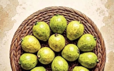 Feuilles de goyave : une boisson naturelle traditionnelle aux bienfaits potentiels pour la santé 🍃