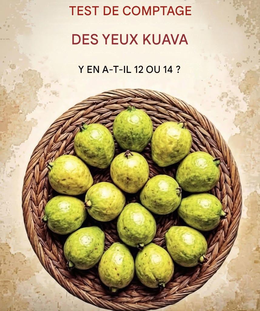 Feuilles de goyave : une boisson naturelle traditionnelle aux bienfaits potentiels pour la santé 🍃