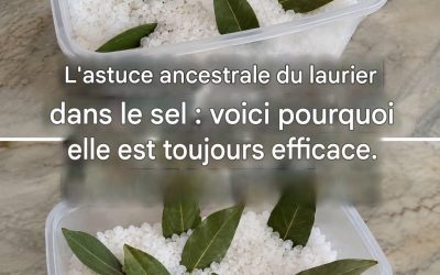 Feuilles de laurier et sel : un remède ancestral qui vaut son pesant d’or.