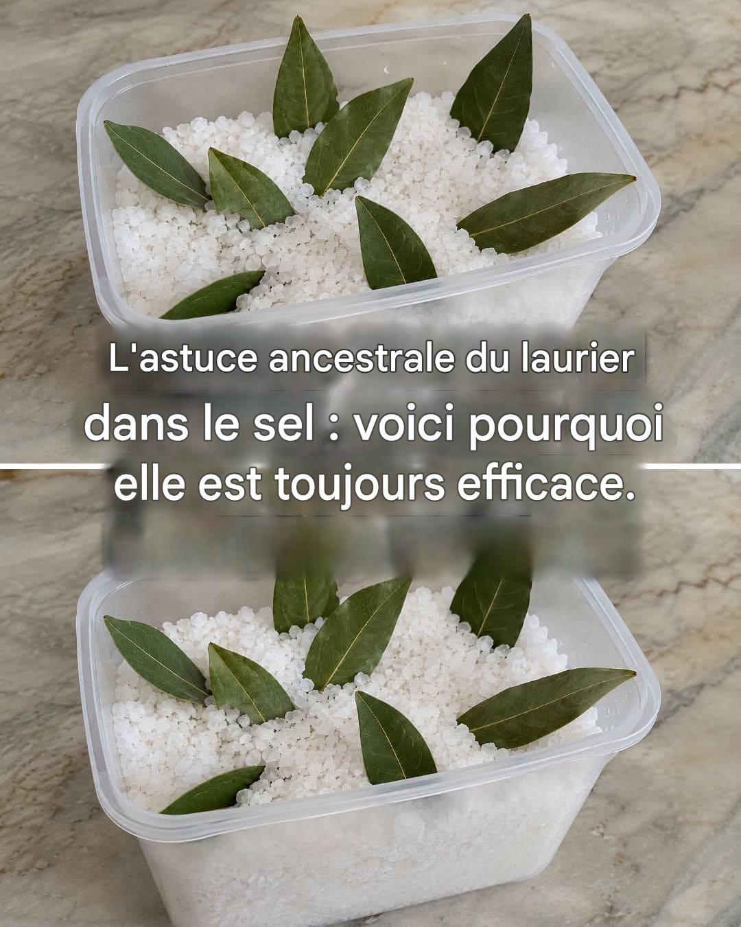 Feuilles de laurier et sel : un remède ancestral qui vaut son pesant d’or.