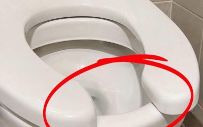 Vous êtes-vous déjà demandé pourquoi les toilettes publiques ont des toilettes en forme de U ?