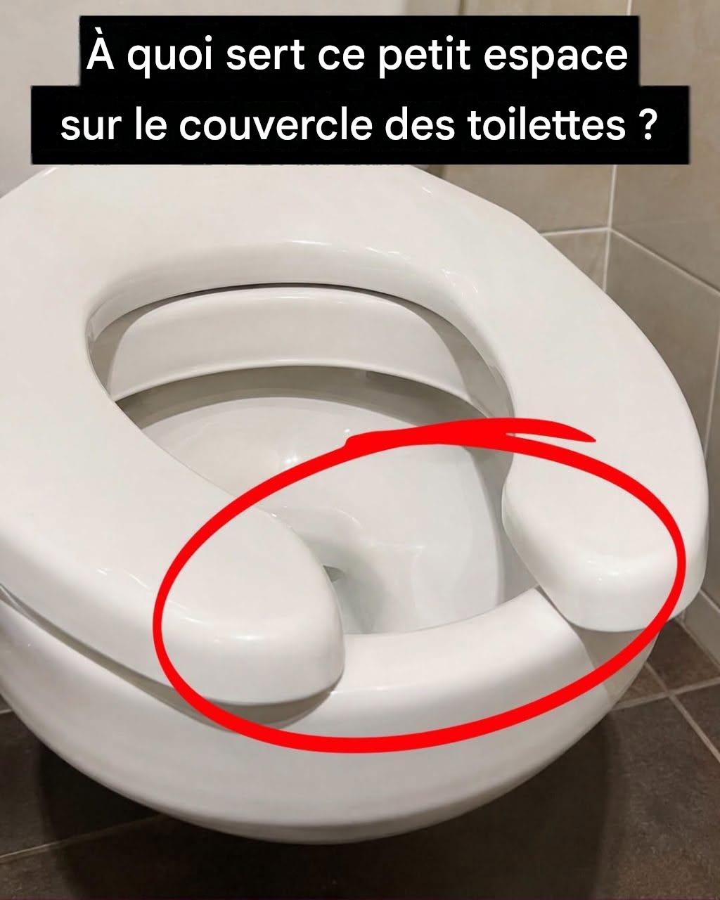 Vous êtes-vous déjà demandé pourquoi les toilettes publiques ont des toilettes en forme de U ?