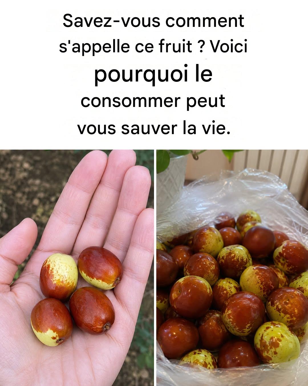 Jujubes : leur goût, comment les consommer et tous leurs bienfaits.