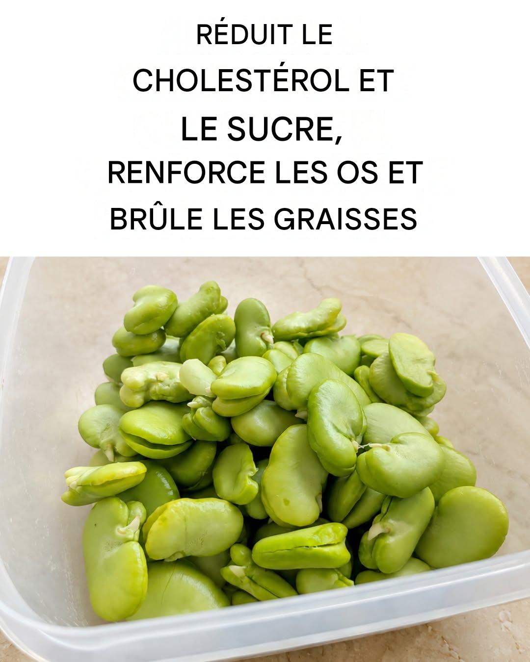 Voici pourquoi deux portions de fèves par semaine peuvent vous sauver la vie.