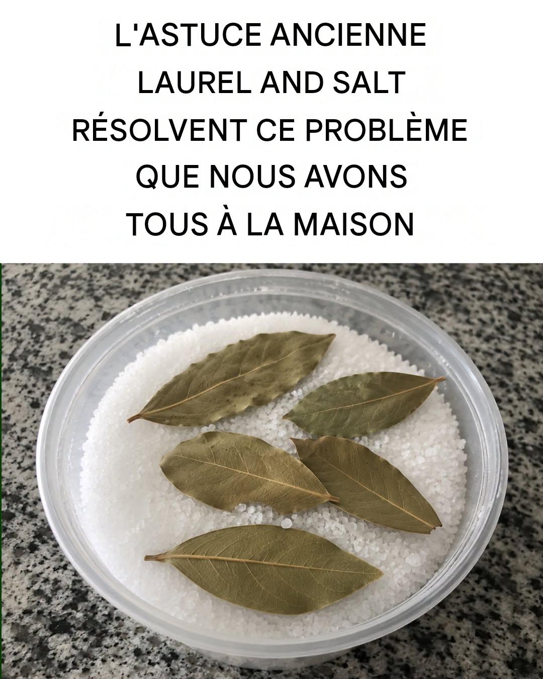 Feuilles de laurier et sel : un remède ancestral qui vaut son pesant d’or.