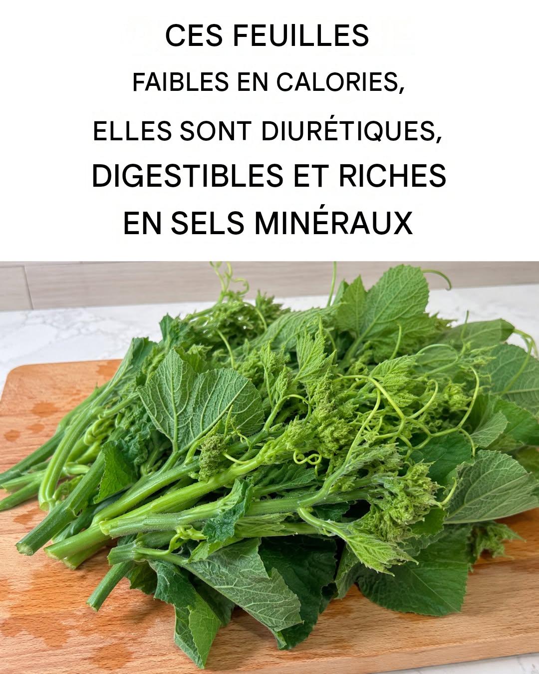 Les feuilles diurétiques, peu caloriques et digestes : délicieuses et riches en propriétés