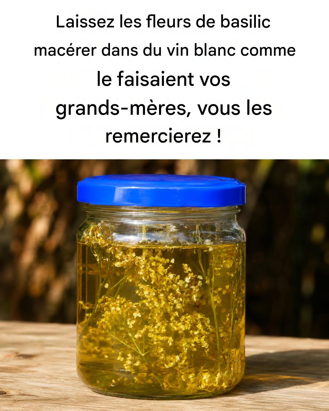 5 choses que vous pouvez faire avec des fleurs de basilic : ne les jetez pas