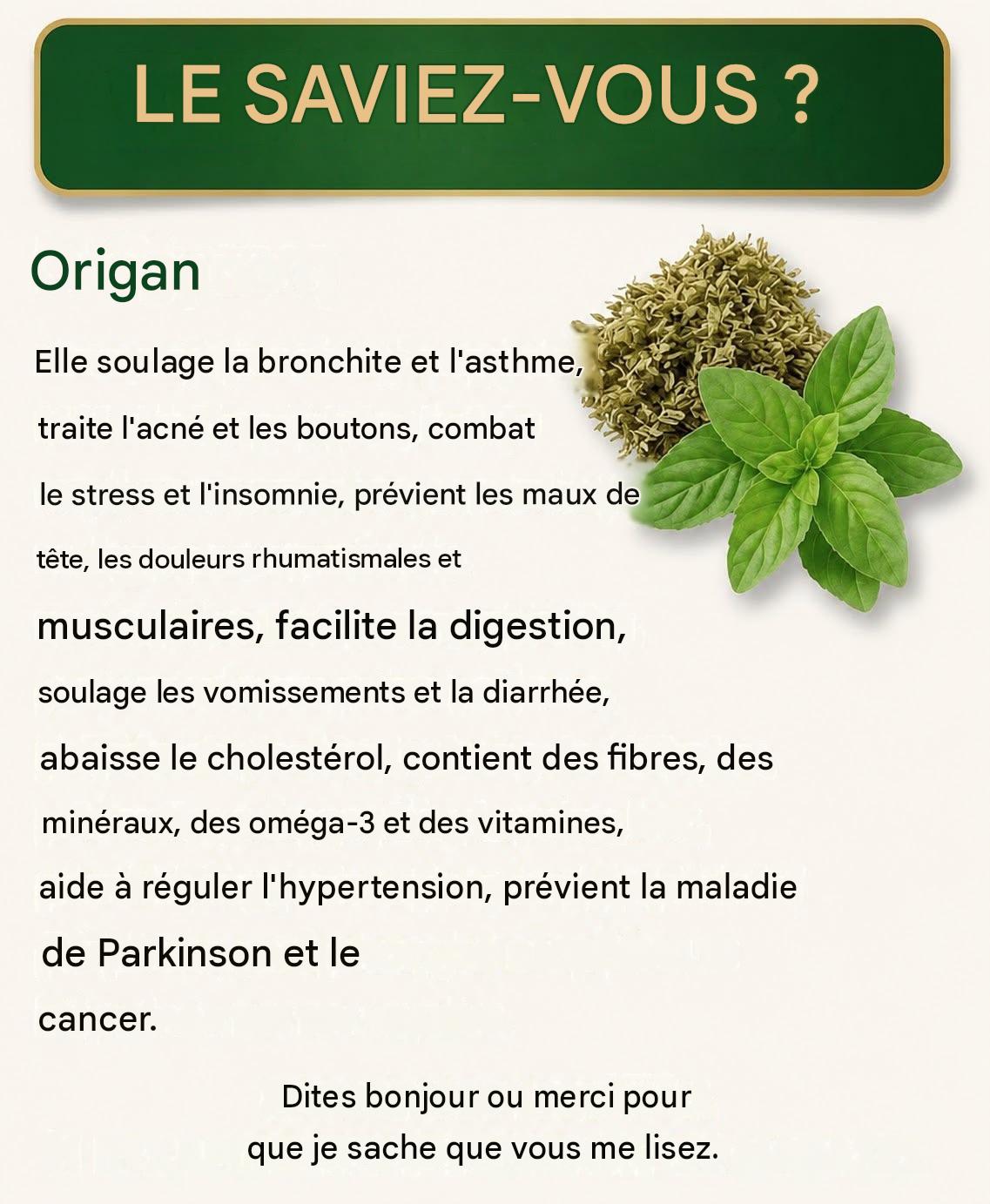 L’origan mexicain : un allié traditionnel pour la santé des yeux