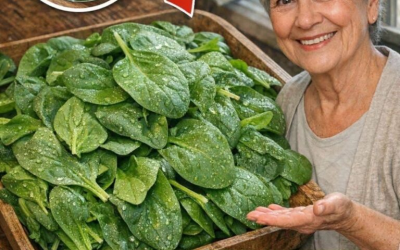 Bactéricide : La mort commence dans les intestins. Cette plante purifie le sang et le foie. Je vous donnerai la recette en échange de votre simple consentement.