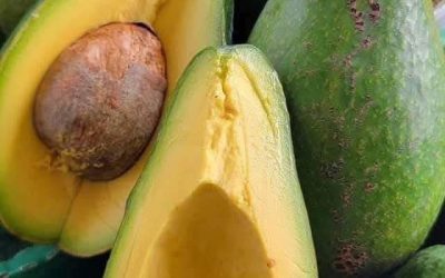 Des médecins révèlent que la consommation d’avocats provoque… afficher plus