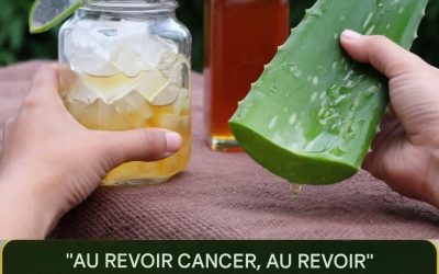 Aloe vera et miel : remèdes naturels pour la santé – que dit la science ?