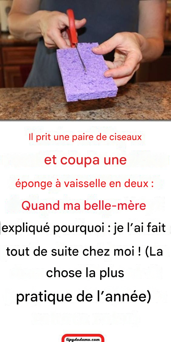 Conseils pour utiliser une éponge à vaisselle : des astuces pratiques qui vous faciliteront la vie !