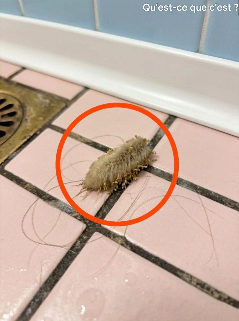 J’étais dans la salle de bain hier soir et j’ai trouvé ça par terre.