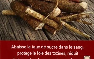 On n’en parle pas ouvertement, mais cela fait baisser le taux de sucre dans le sang, protège le foie des toxines et réduit l’absorption du mauvais cholestérol et des triglycérides.
