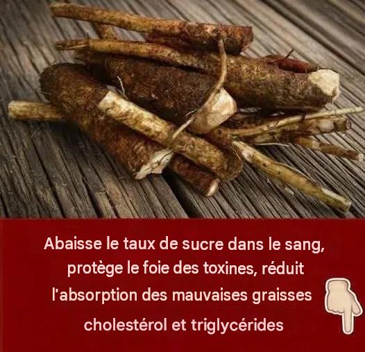 On n’en parle pas ouvertement, mais cela fait baisser le taux de sucre dans le sang, protège le foie des toxines et réduit l’absorption du mauvais cholestérol et des triglycérides.