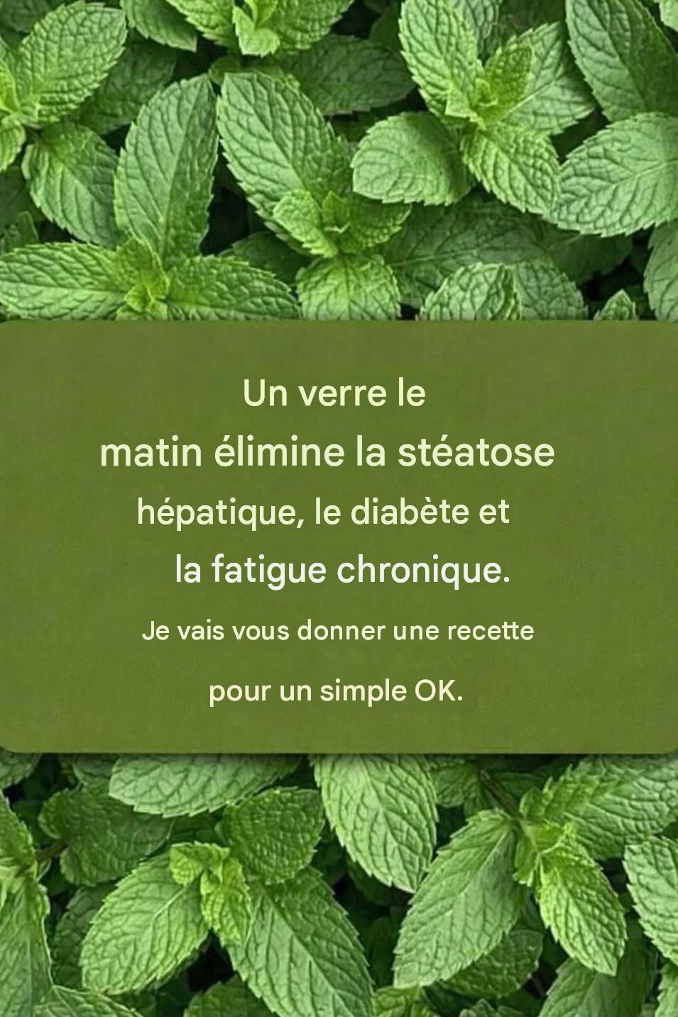 Les bienfaits de la menthe pour la santé : la boisson matinale qui va tout changer