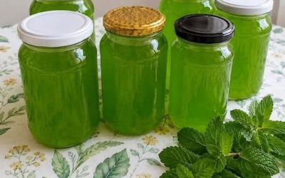Si vous avez beaucoup de menthe dans votre jardin, essayez le sirop de menthe miraculeux sans cuisson : 1 cuillère à café soulagera les maux d’estomac, améliorera la digestion et aidera à soulager les migraines !