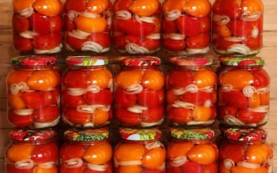 Tomates marinées aux oignons, sans mise en conserve : cette année, je prépare du bouillon pour tout l’hiver – un goût incroyable !
