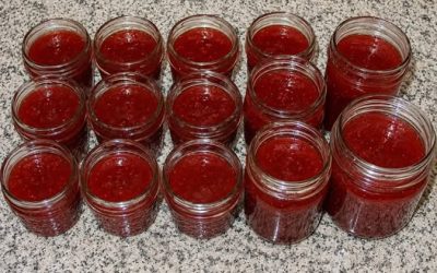 Quiconque connaît cela peut faire n’importe quelle confiture sans gélifiant et sans stérilisation : et elle sera magnifiquement épaisse !