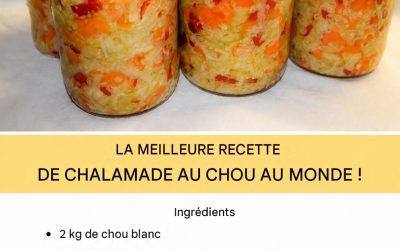 Le chou mariné est l’un des types de légumes marinés maison les plus populaires.