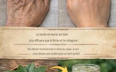 La feuille de laurier est bien plus puissante que le Botox et le collagène !