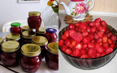 Confiture de fraises miraculeuse sans effort : une fois que vous aurez goûté à cette amélioration, vous ne reviendrez jamais à la cuisine traditionnelle !