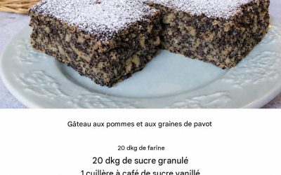 Gâteau EXPRESS aux graines de pavot et aux pommes : Incroyablement juteux et prêt en 15 minutes !