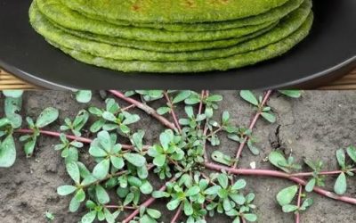 Pourquoi planter du pourpier dans son jardin : 8 raisons convaincantes à connaître