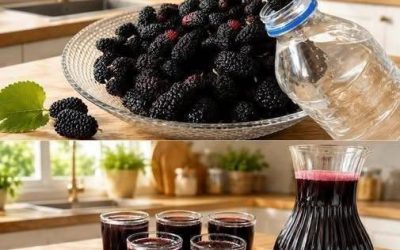 Liqueur de mûre avec seulement quelques ingrédients – une recette simple, savoureuse et délicieuse. SI VOUS SOUHAITEZ RECEVOIR PLUS DE RECETTES DE MA PART, ÉCRIVEZ « OUI ».
