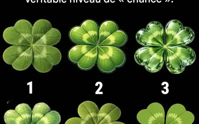 👀Ce que vous voyez en premier sur cette photo peut révéler beaucoup de choses surprenantes sur votre personnalité.