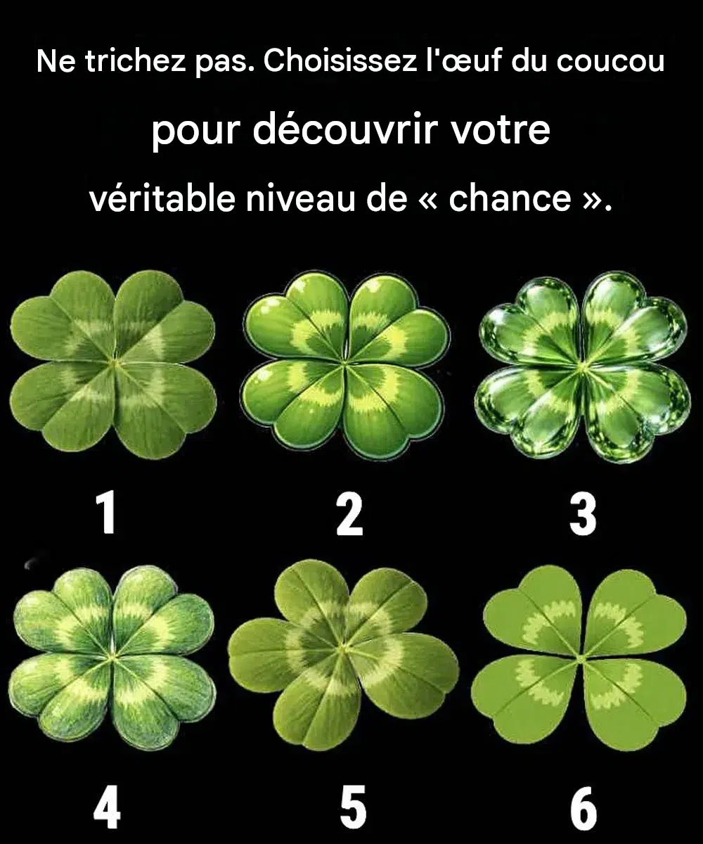 👀Ce que vous voyez en premier sur cette photo peut révéler beaucoup de choses surprenantes sur votre personnalité.