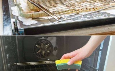 Le secret pour nettoyer les grilles du four : comment une éponge élimine les saletés tenaces