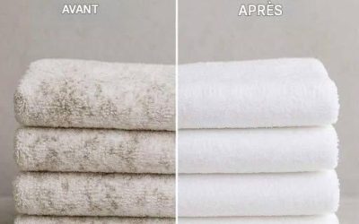 Ma grand-mère disait toujours ça… Ce n’est que des années plus tard que j’ai compris à quel point c’était vrai.