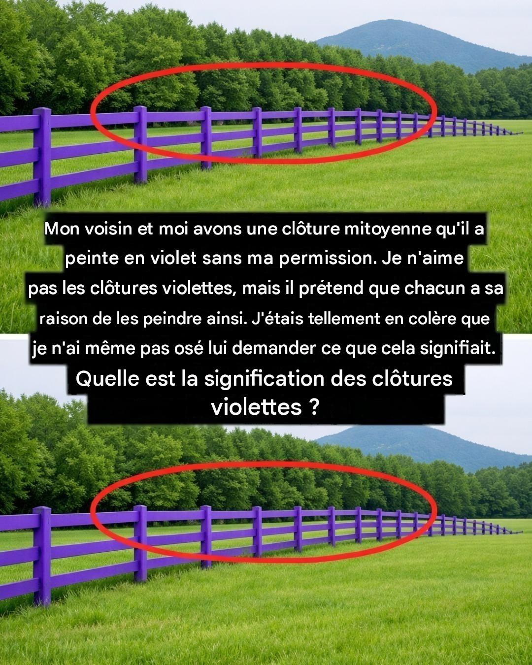 Si vous voyez une clôture peinte en violet, voici ce que cela signifie