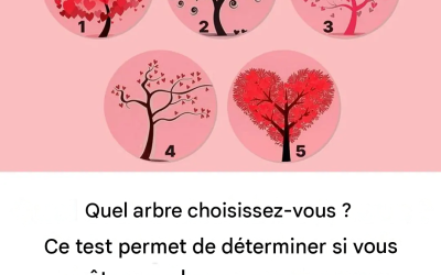 Test de personnalité : Quel arbre choisissez-vous ? Un test psychologique qui révèle si vous êtes une bonne personne.