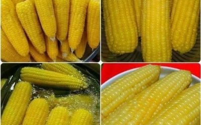 Qui aime le maïs bouilli ? Levez la main !