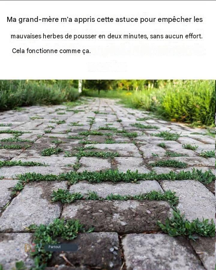Ma grand-mère m’a appris cette astuce pour empêcher les mauvaises herbes de pousser en deux minutes, sans effort. Voici comment ça marche. Afficher plus