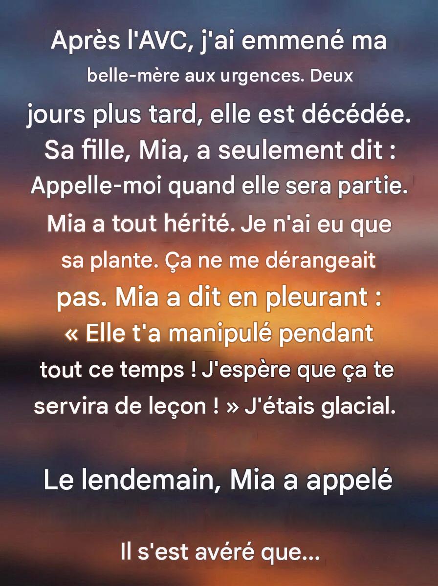 L’héritage du silence : le secret d’une plante oubliée