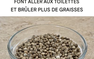 Petites, délicates et pourtant puissantes : toutes les propriétés des graines de chanvre.