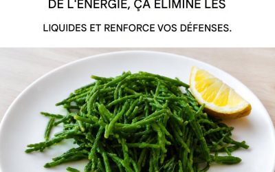 Toutes les propriétés et les bienfaits de la salicorne : voici comment la consommer