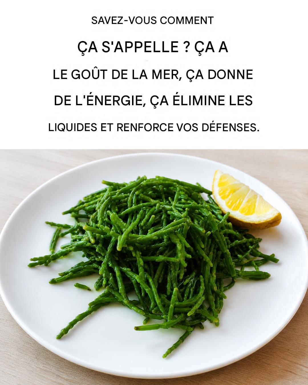 Toutes les propriétés et les bienfaits de la salicorne : voici comment la consommer