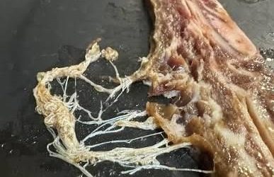J’ai sorti mon rôti de bœuf de la mijoteuse et j’ai vu d’étranges filaments blancs qui dépassaient de la viande. On dirait des petits vers ou des parasites.