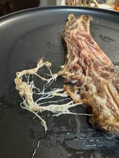 J’ai sorti mon rôti de bœuf de la mijoteuse et j’ai vu d’étranges filaments blancs qui dépassaient de la viande. On dirait des petits vers ou des parasites.