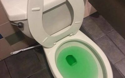 Comment déboucher des toilettes sans outil : une astuce maison simple à essayer
